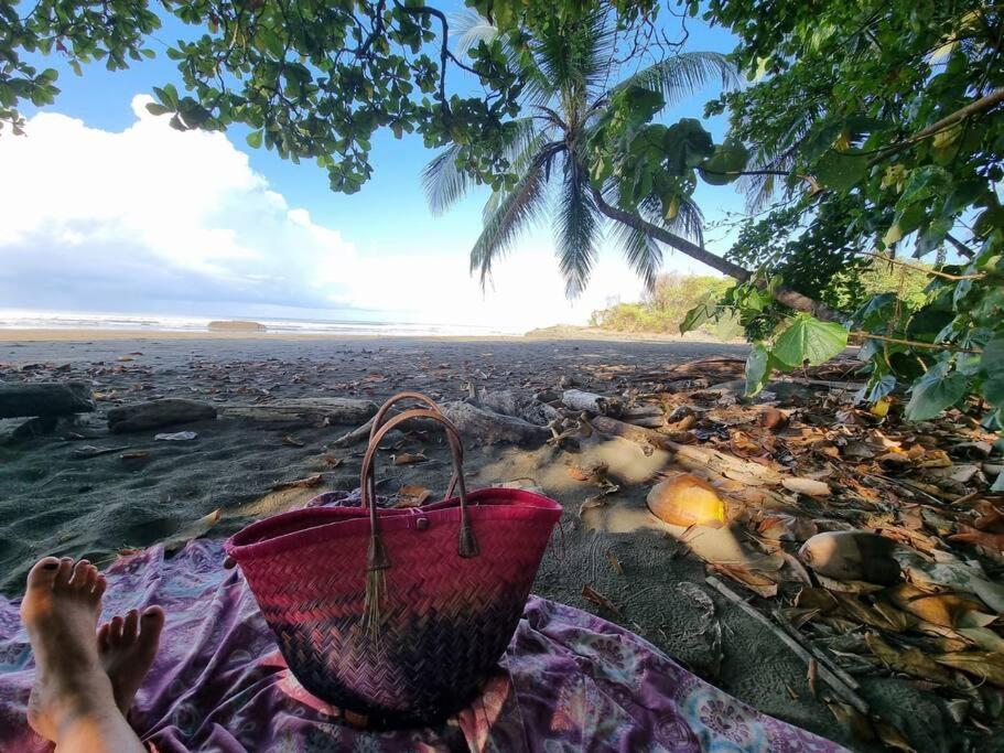 Villa Amor Del Mar With Breathtaking View Of Ocean & Jungle Dominical Exteriér fotografie