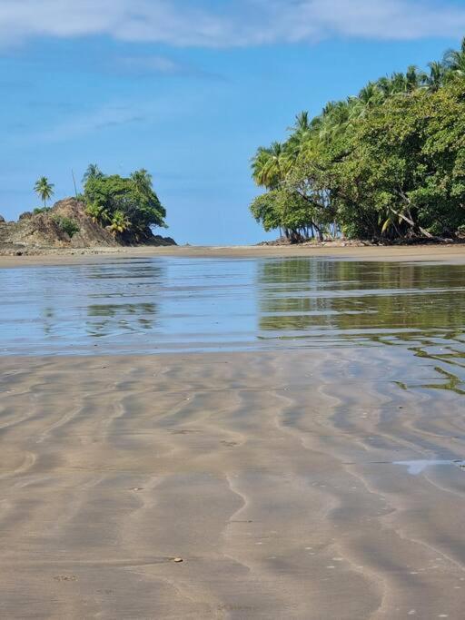 Villa Amor Del Mar With Breathtaking View Of Ocean & Jungle Dominical Exteriér fotografie