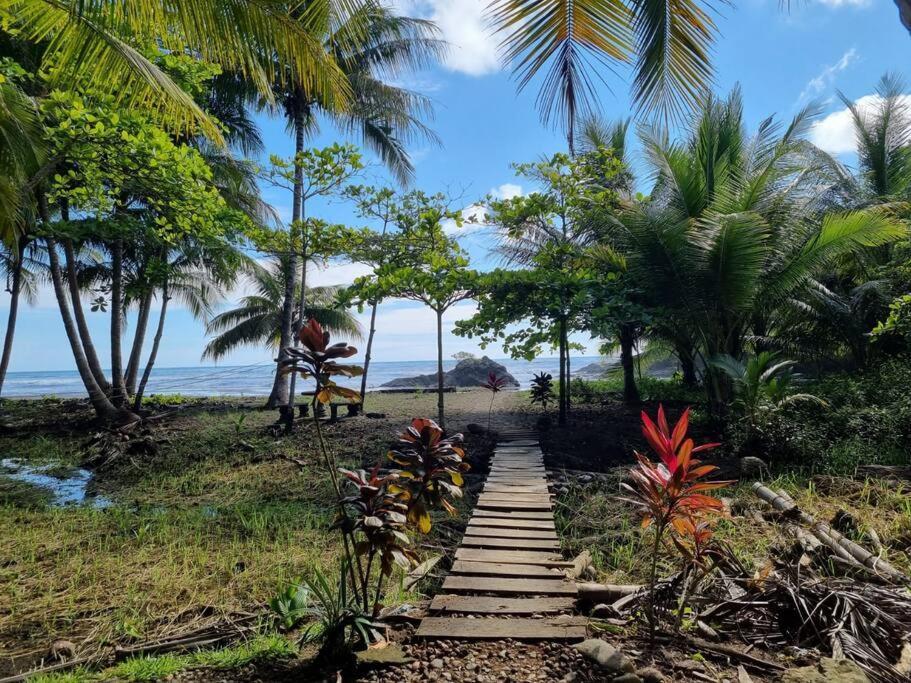 Villa Amor Del Mar With Breathtaking View Of Ocean & Jungle Dominical Exteriér fotografie