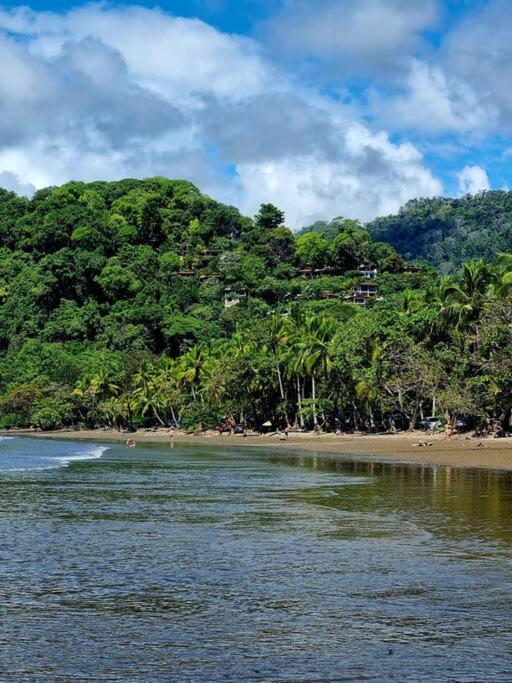 Villa Amor Del Mar With Breathtaking View Of Ocean & Jungle Dominical Exteriér fotografie