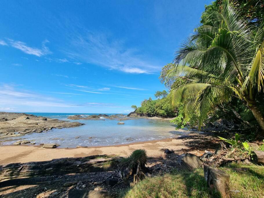 Villa Amor Del Mar With Breathtaking View Of Ocean & Jungle Dominical Exteriér fotografie