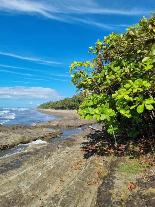 Villa Amor Del Mar With Breathtaking View Of Ocean & Jungle Dominical Exteriér fotografie