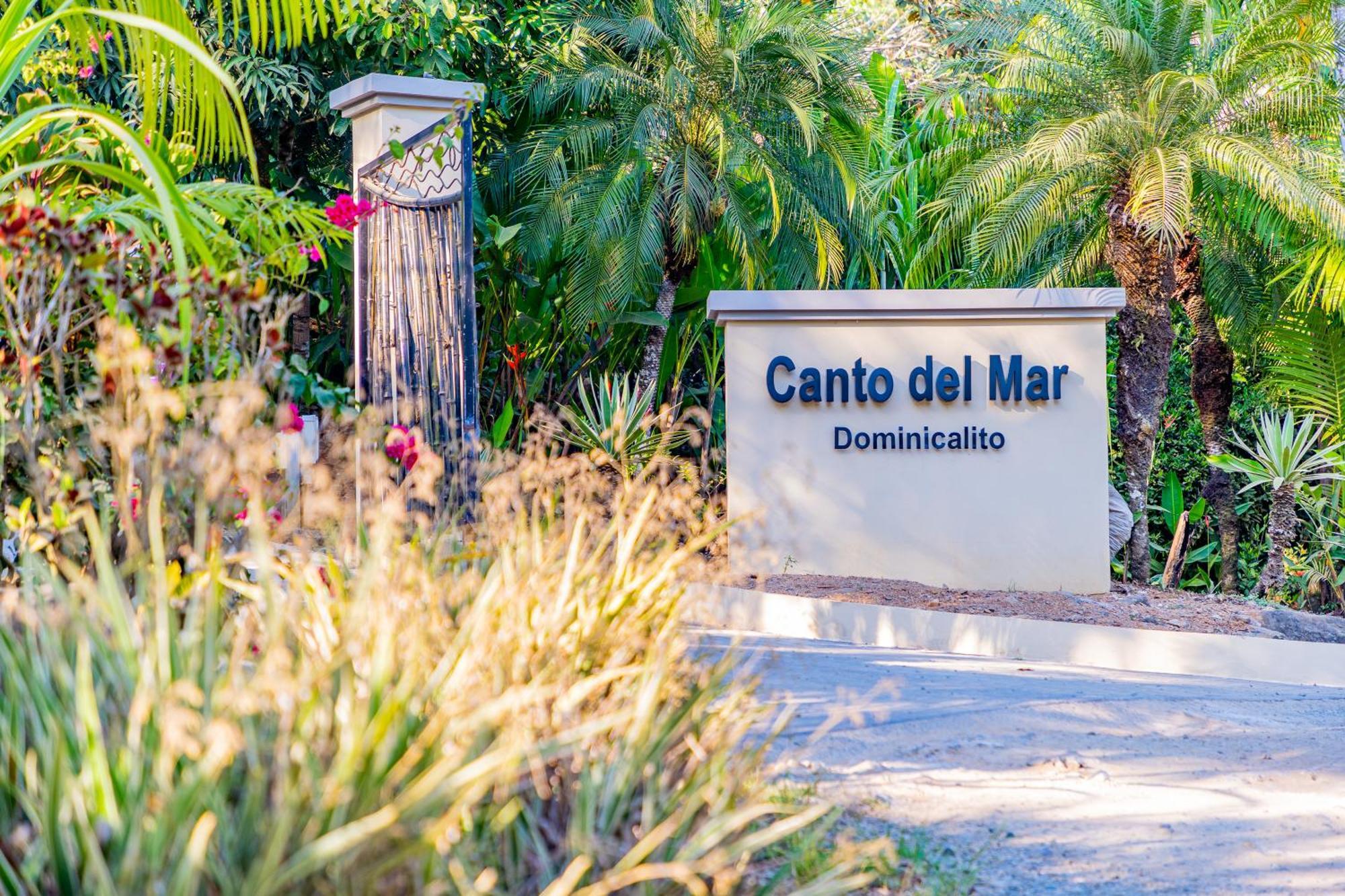 Villa Amor Del Mar With Breathtaking View Of Ocean & Jungle Dominical Exteriér fotografie